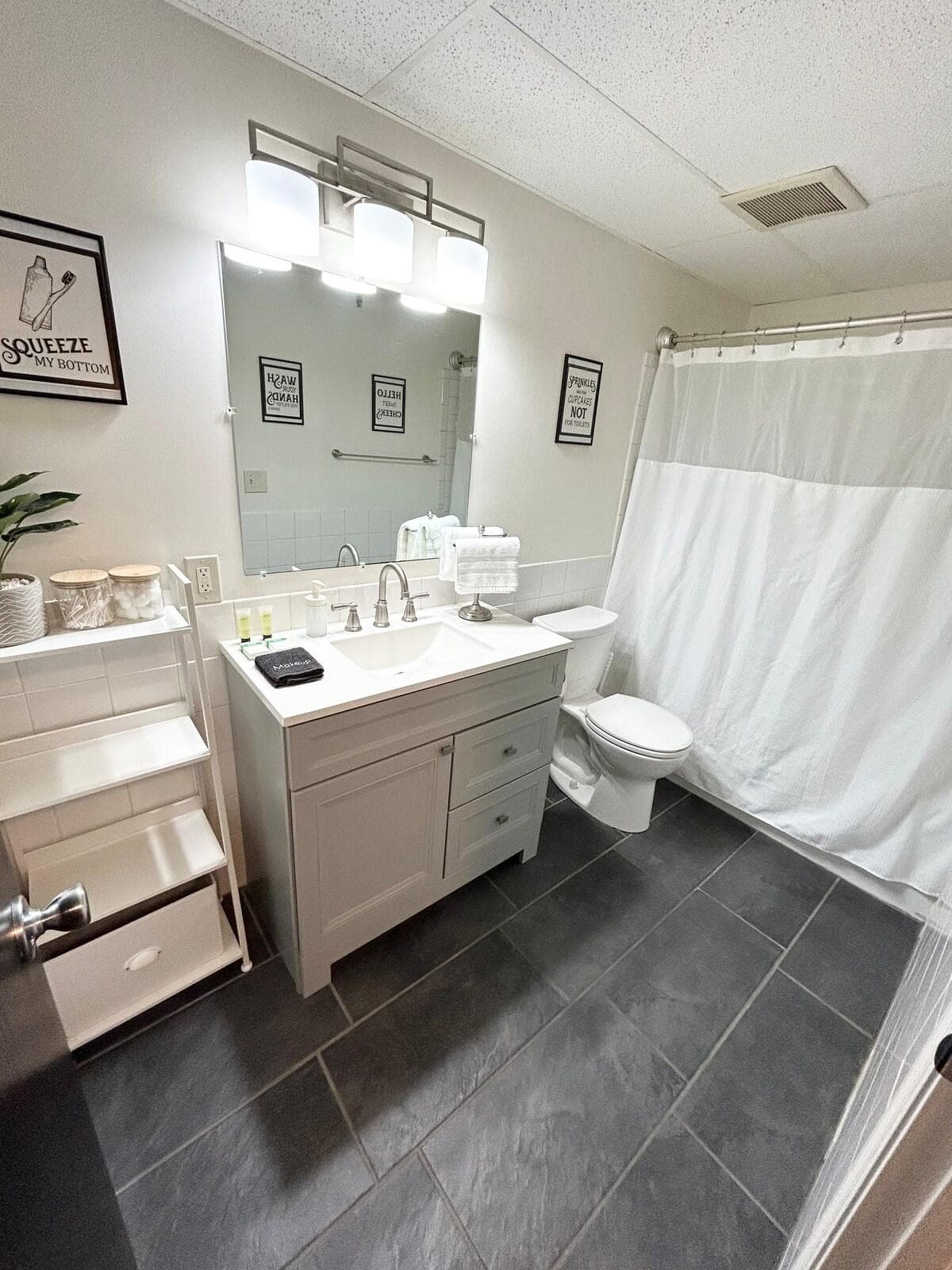 Full bathroom, basic toiletries, q-tips, cotton balls, body soap, shampoo conditioner, make up towel, hand towels. 